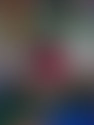 Fern Forest Nature Tots in Margate, Florida