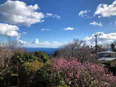 IMG_4899.jpeg