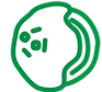 foodicon-010.png