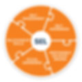 R2L_SELwheel_Chart.jpg