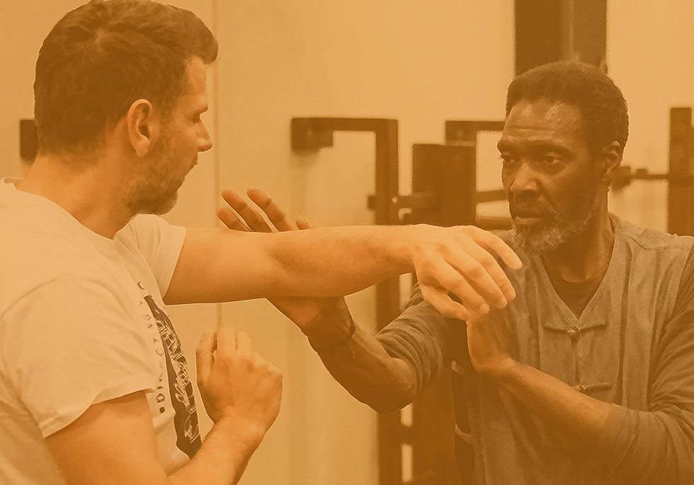 WING CHUN WEB PAGE IMAGE.jpeg