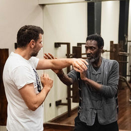 Wing Chun Workshop, Greece