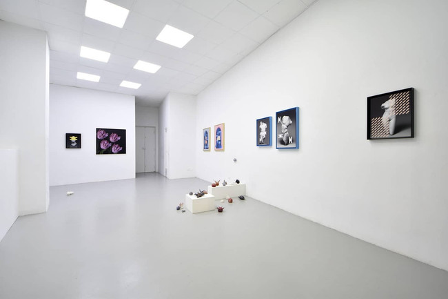 Lunar Stories _ Dimora Artica