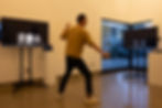 fencing_hallucination_setup.jpg