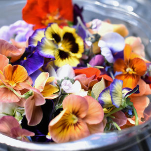 A Guide to Edible Flowers
