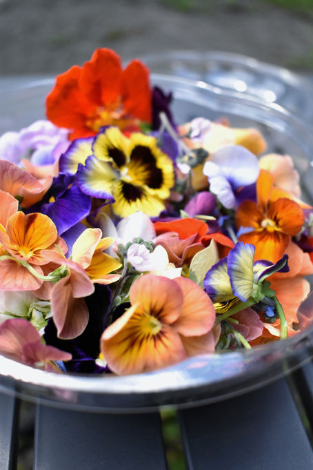 A Guide to Edible Flowers
