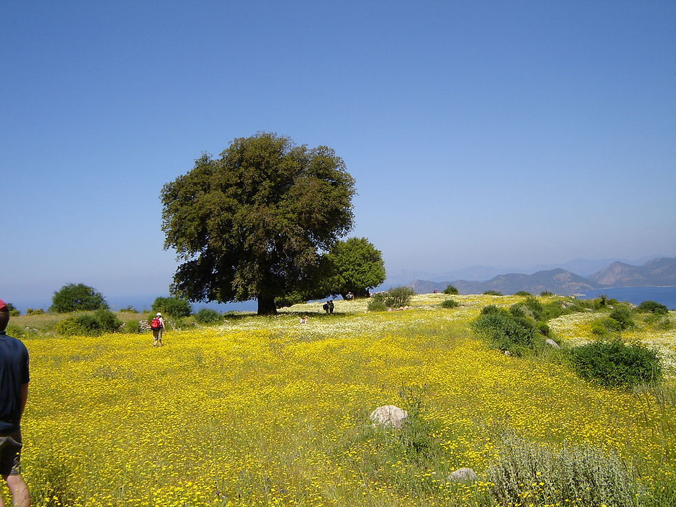 Spring on West Lycian Way