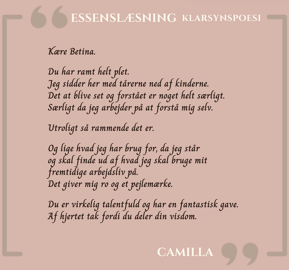 Skærmbillede 2025-01-13 kl. 11.10.59.png