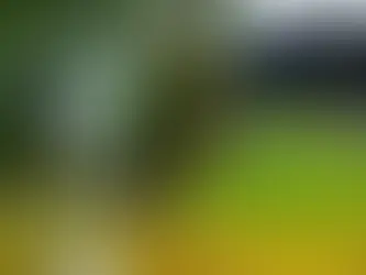 Rio Machado em Ji-Paraná ultrapassa 10 metros