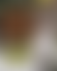 giving feedback to your therapist