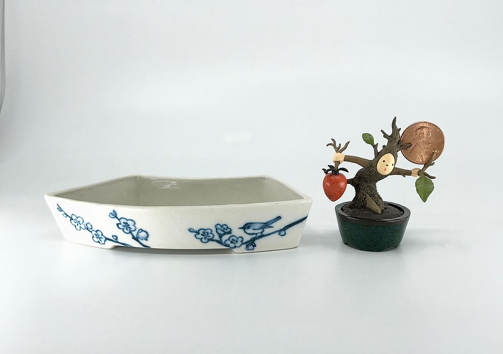 Gnatcatcher Bird & Ume Blooms Fan-shaped Pot