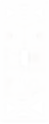 Espiga 2.png