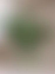 Un muguet bien symbolique...