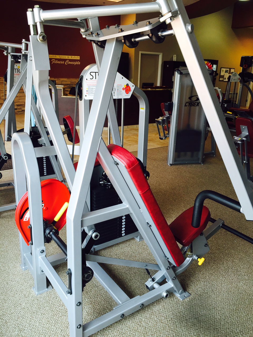 Vertical Traction Life Fitness FitnessRetro