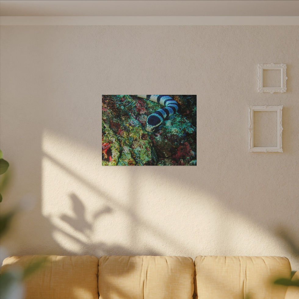 Thumbnail: Matte Canvas, Stretched, 0.75" (Multi-Size)