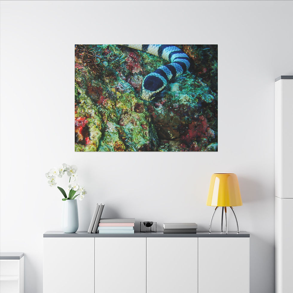 Thumbnail: Matte Canvas, Stretched, 0.75" (Multi-Size)