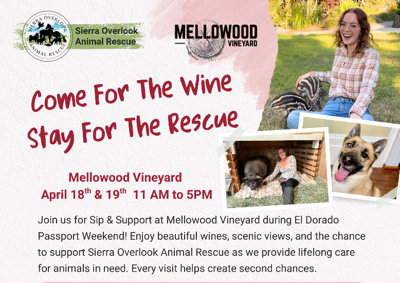 Sip & Support: SOAR at Mellowood Vineyard
