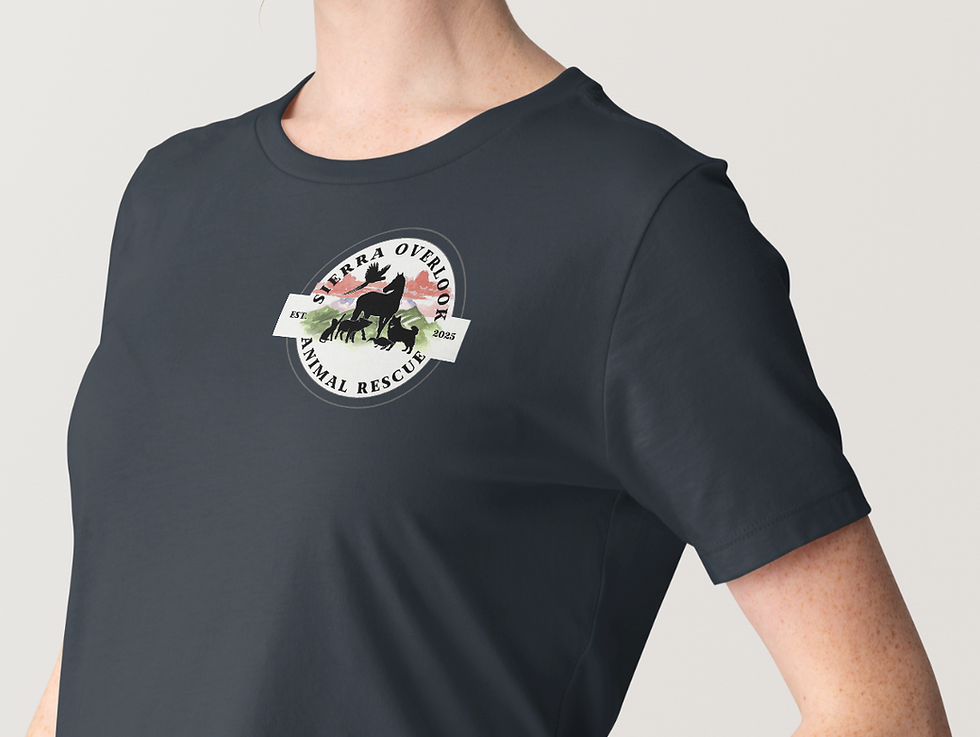 Thumbnail: Women's SOAR 🦆 "Duck That" T-shirt
