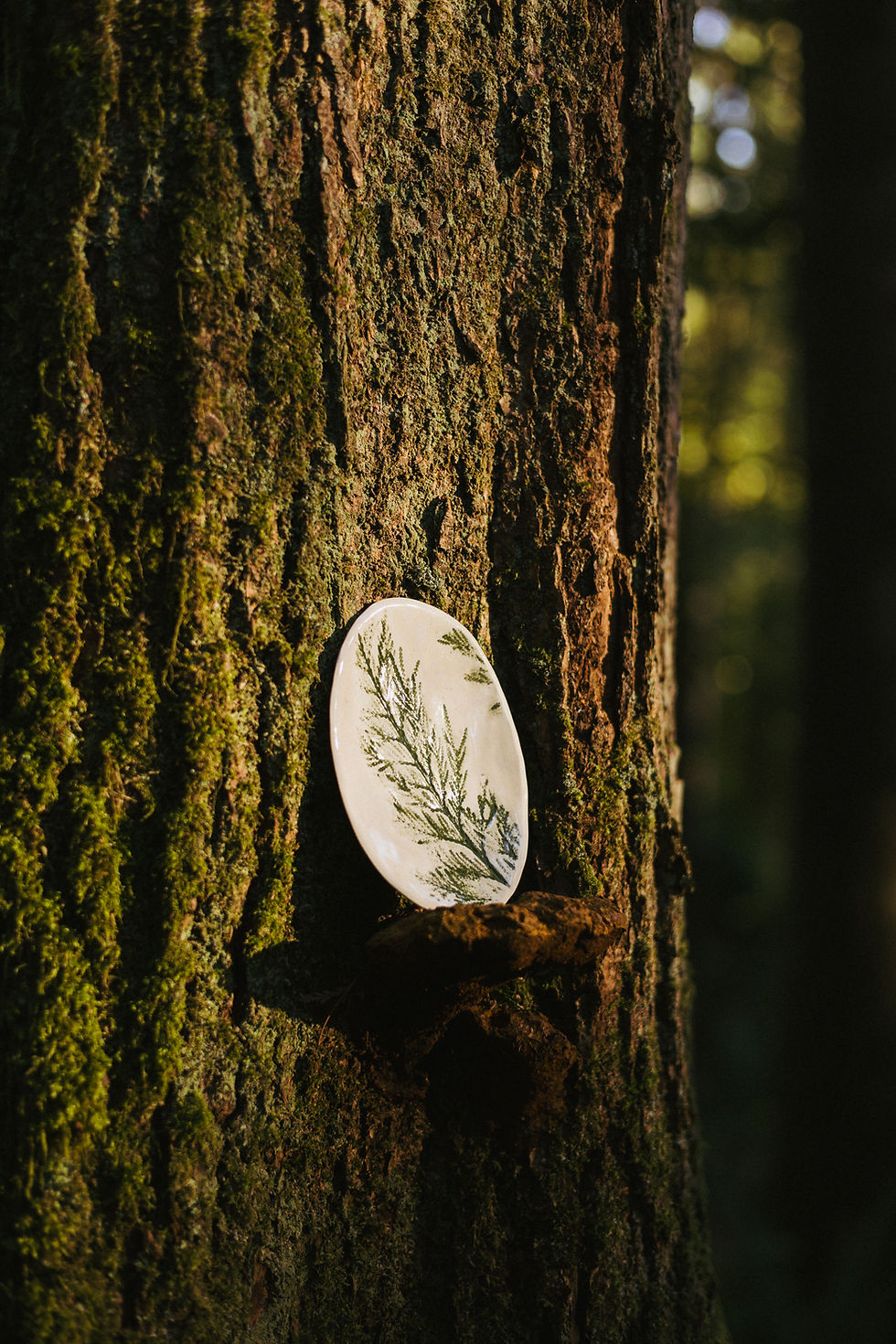 Thumbnail: Cedar Branch Oval Dish