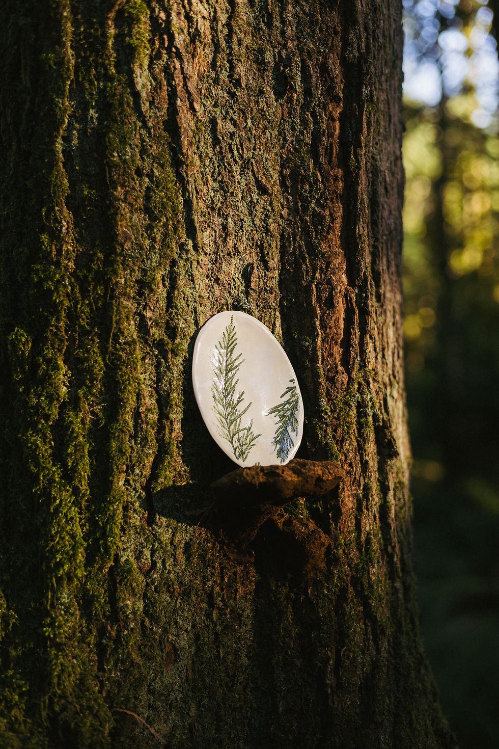 Thumbnail: Cedar Branch Oval Dish
