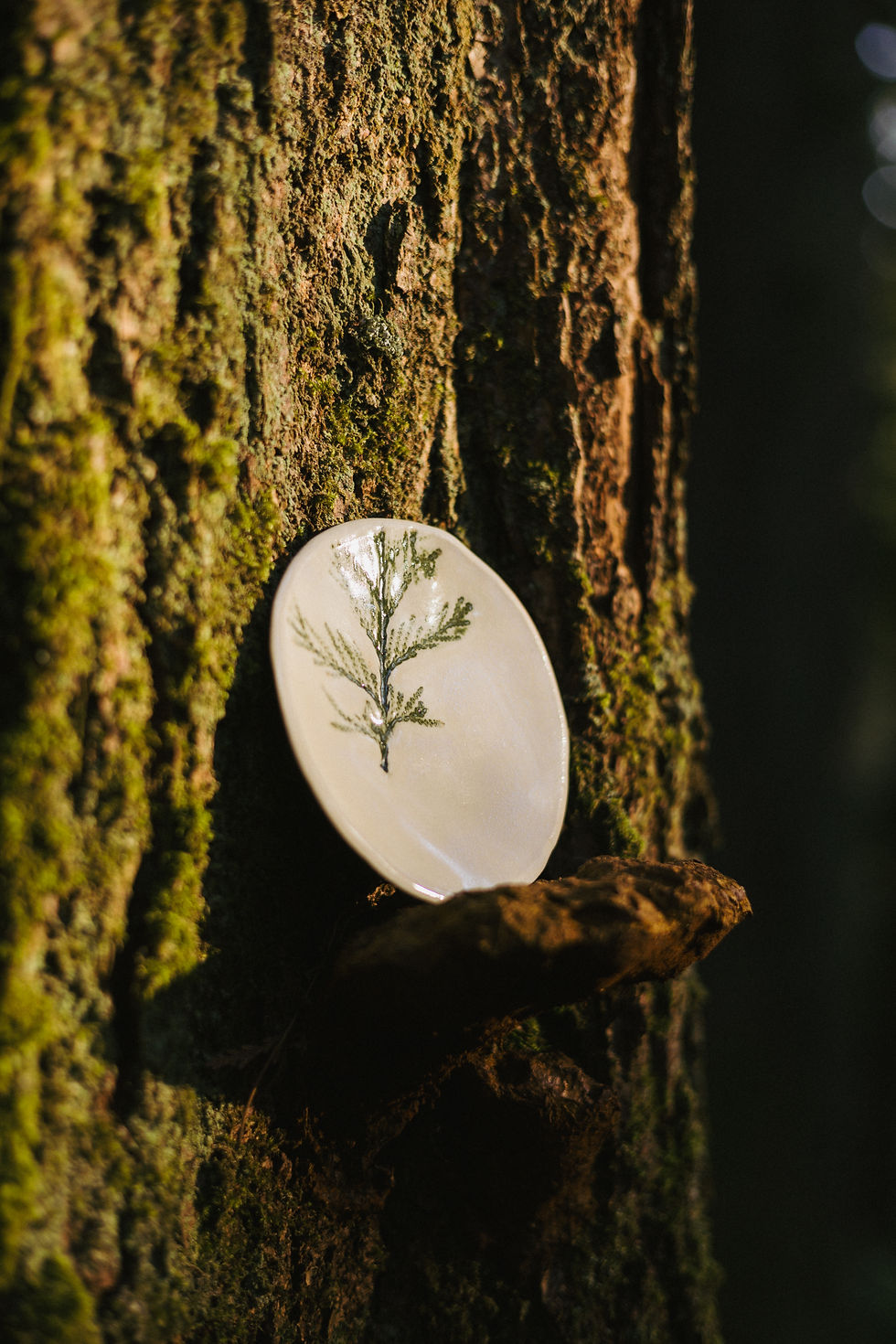 Thumbnail: Cedar Branch Oval Dish