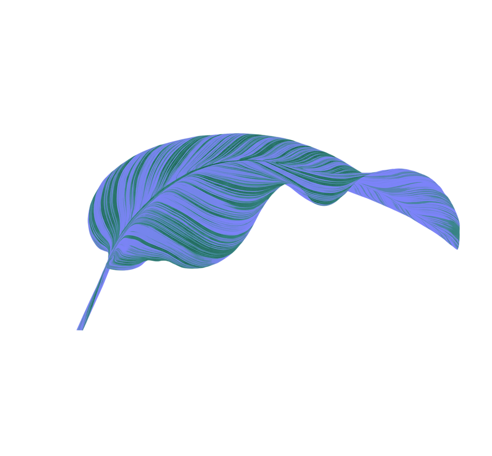 Leaves with a cmolor wash 1.png