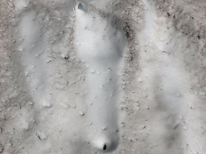 07-17 Big Foot.jpg