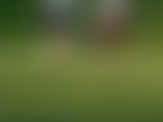 Odana Hills Golf Park: An Asset to the City Forever