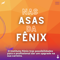 Nas asas da Fênix