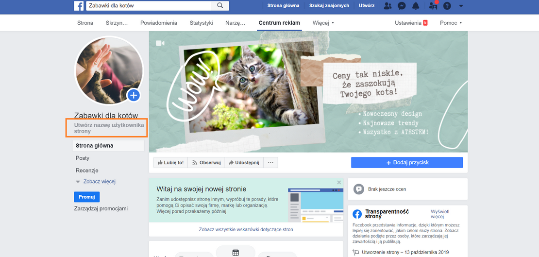 Na zdjęciu zrzut ekranu strony na Facebooku. Strona Zabawki dla kotów. Tutorial jak założyć własny fanpage na Facebooku.