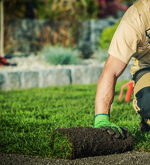 lawn-and-order-soft-landscaping.png
