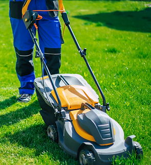 lawn-and-order-grass-cutting.png