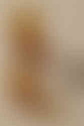 Dodeca tumblers in Amber and Clear, and Highball in Amber glass