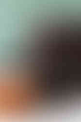 Closeup detail of RUDI Perry bins showing the swing top