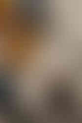 NasonMoretti's Dodeca glasses