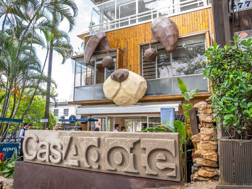 CasAdote reforça debate sobre adoção responsável diante do aumento de animais em situação de vulnerabilidade no Brasil