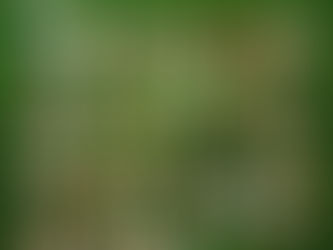 RIOVET 2023 REUNIRÁ O MERCADO PET E VET EM UM SÓ LUGAR