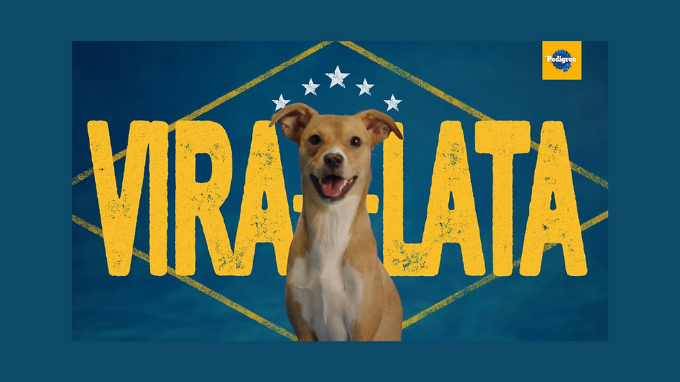 PEDIGREE® aposta em campanha para transformar o vira-lata em símbolo de orgulho nacional