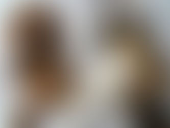 Senado aprova lei sobre guarda compartilhada de animais de estimação