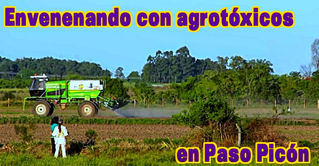 Vecinos demandan al Mgap y a médico sojero
