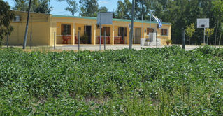 Preocupación por plantación de soja “pegada” a escuela