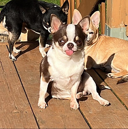 279632629_421765789952226_5685769904031895493_n (1)_edited.jpg