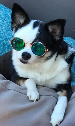 Chichi Mia de Mini Chichi Havelock