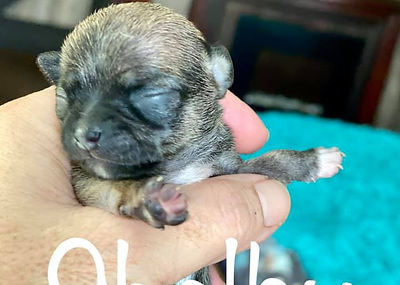 122922706_793841481414176_21803069370692