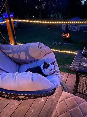 118003142_735692783895713_78786929663080