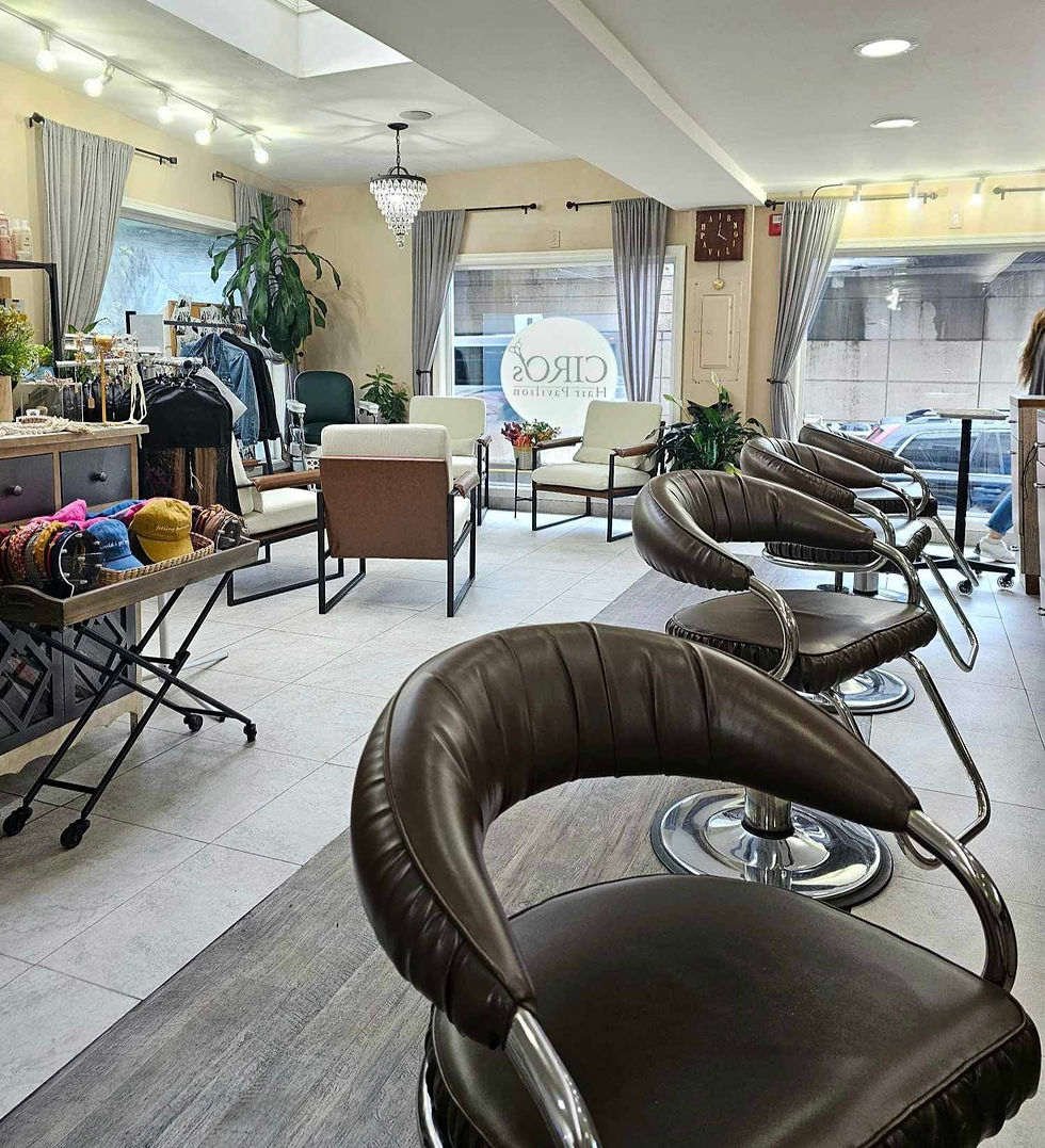 Eye-level view of the interior of a cozy salon adorned with lush plants