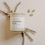 Thumbnail: Sweet Water Decor *New* Lavender and Sage 11 oz Soy Candle