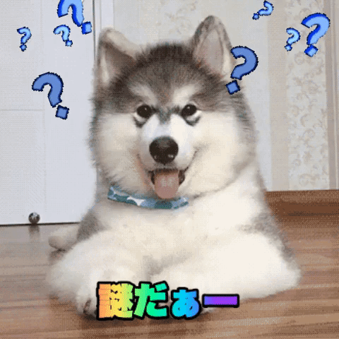 g2mJ (1).gif