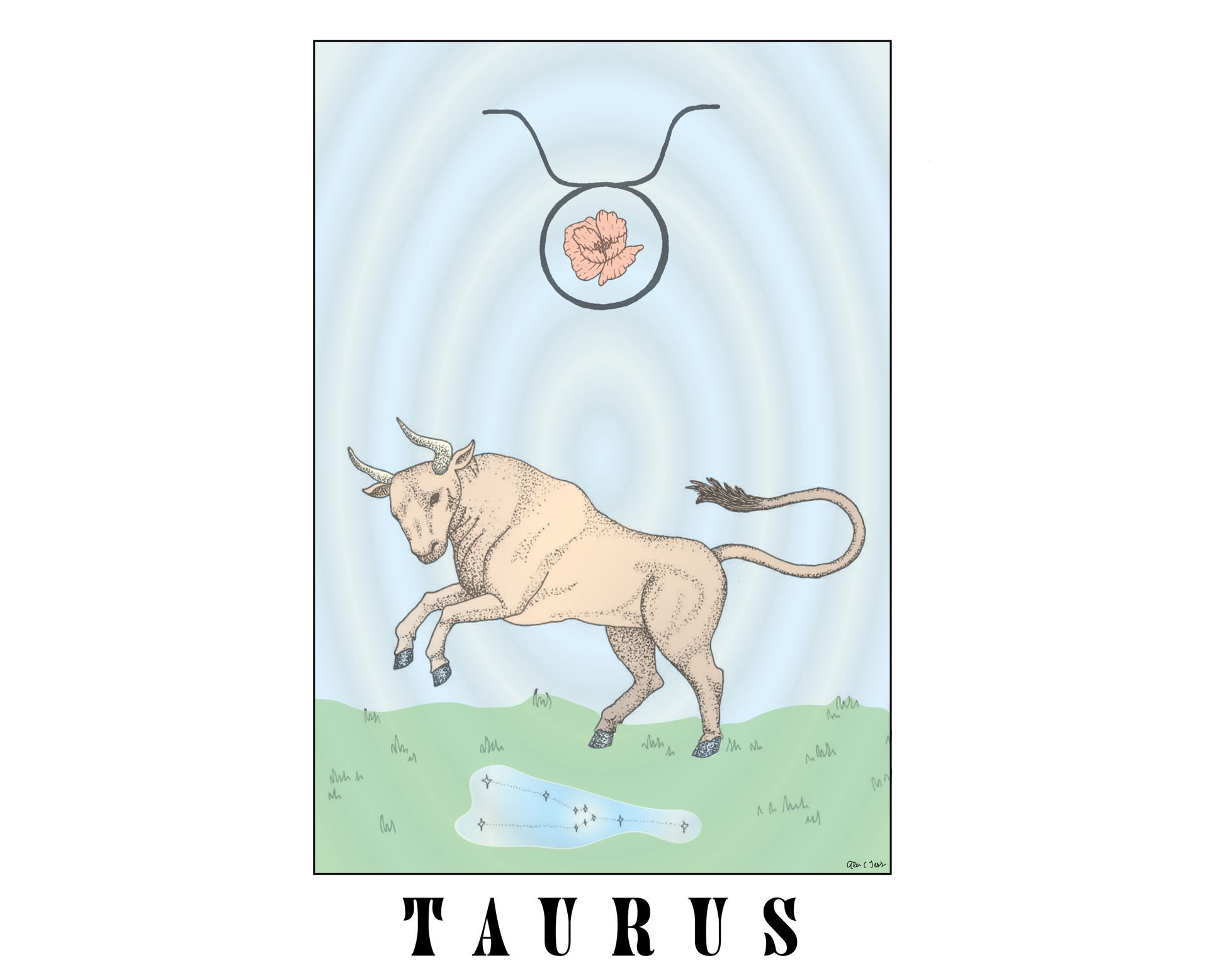 Taurus Print