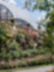 Mainau